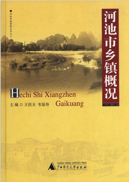 河池市乡镇概况（2005）.png