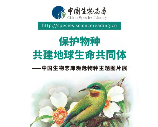 “保护物种 共建地球生命共同体”——中国生物志库濒危物种主题图片展
