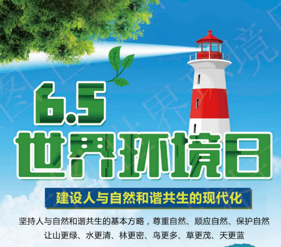 我馆举行“减塑捡塑 绿色生活”世界环境日主题图文展